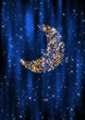 Christmas Moon
