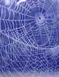 Netzwerk 4
