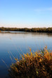 Bug river near Warsaw