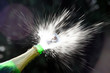 Champagne bottle