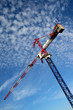 grue tricolore