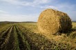 Foto: Hay Bale Hay Bale