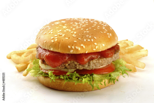 Foto: panino con hamburger panino con hamburger