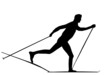 skieur nordique
