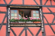 Village de Kientzheim -Maison à colombages et fenêtre fleurie