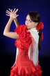 Spanish flamenco Spanish flamenco