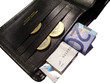 wallet with money