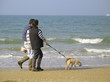 Walk with dog near the sea