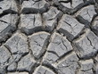 drought