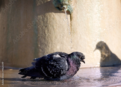 No bath , no ... No bath , no ...