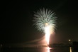 FireWork No. 15