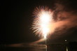FireWork No. 37
