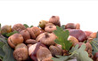 oak leafs and acorns