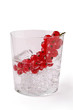 Glass of water with ice and red currants Glass of water with ice and red currants
