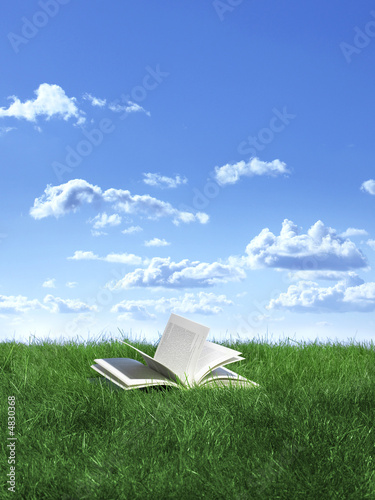 book on lawn