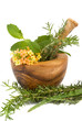 Herbs