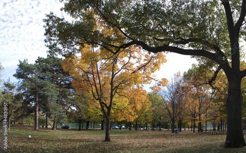 Foto: Golden Autumn in High Park 5 Golden Autumn in High Park 5