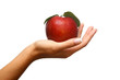 Apple on hand