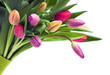 Bouquet of tulips