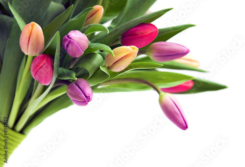 Foto: Bouquet of tulips Bouquet of tulips