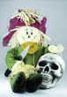 Scarecrow with knife and human skull 