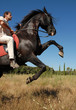 equitation