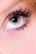 eye 2