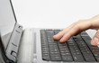 female hands typing a text