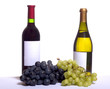 wine and grapes