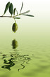 oliva riflessa su un mare d'olio