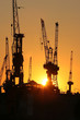 Sonnenuntergang am Hafen IX