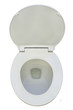 New Toilet