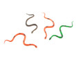 Bunch of snakes Bunch of snakes