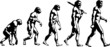 Evoluzione