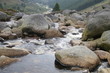 WIldbach WIldbach