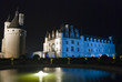 Fountain and Chateau Chenonceau at night.