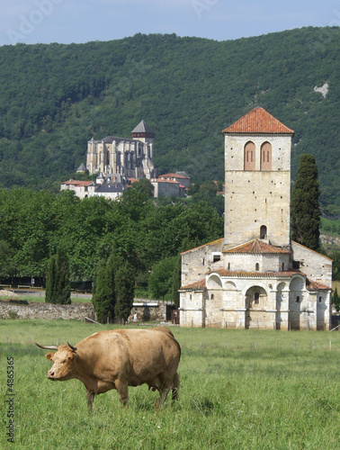 Vache regardant passer les églises