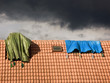 housetop