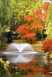 autumn garden