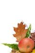 Autumnal leaves arragement