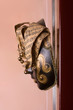 Venetian carnival mask - Music mask 
