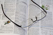 dictionnaire dictionnaire