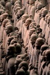 Armée de terre cuite Armée de terre cuite