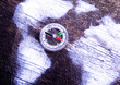 Compass