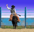 Bull Rider and Clown