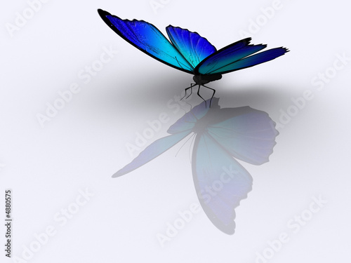 Butterfly 1 Butterfly 1