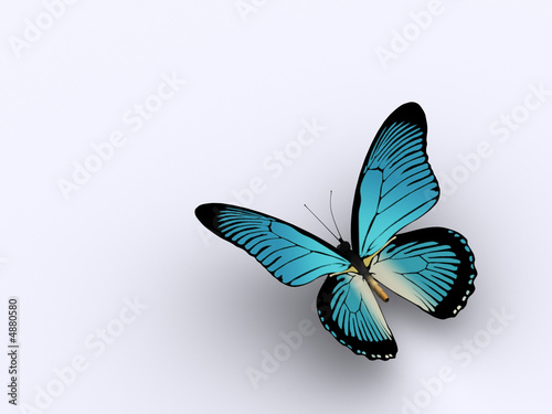 Illustration: Butterfly 3 Butterfly 3