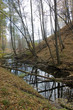 beaver's lake beaver's lake