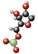 molécule