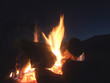 A Campfire at night